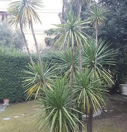 Guest house Garden