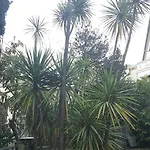 Garden ゲストハウス