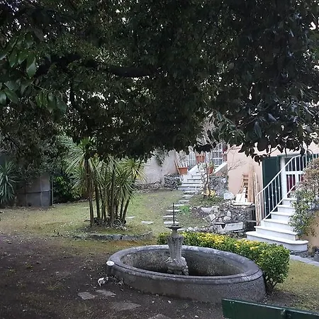 Pensionat Garden 3*